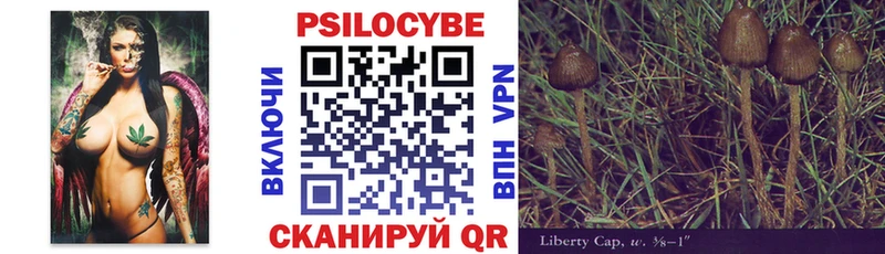 Псилоцибиновые грибы GOLDEN TEACHER как найти закладки Сясьстрой